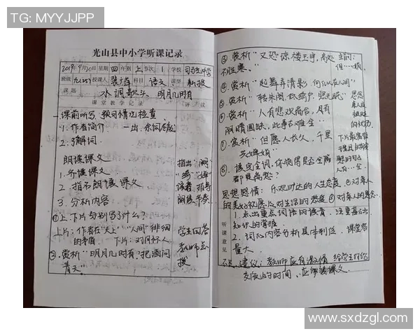 焦泊乔:探寻当代青年在职场与生活中的奋斗与成长之路